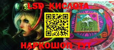 шишки Моздок