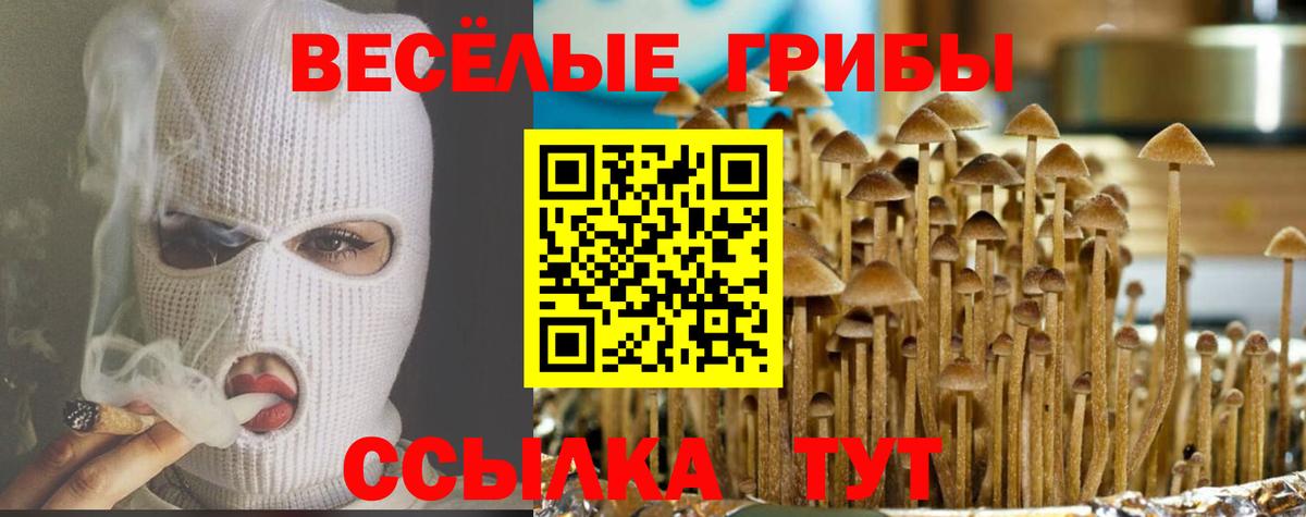 Галлюциногенные грибы MAGIC MUSHROOMS Дюртюли
